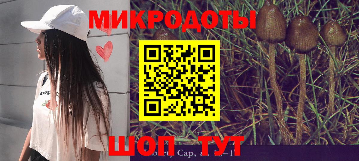 Галлюциногенные грибы прущие грибы  Вход с VPN  Корсаков 