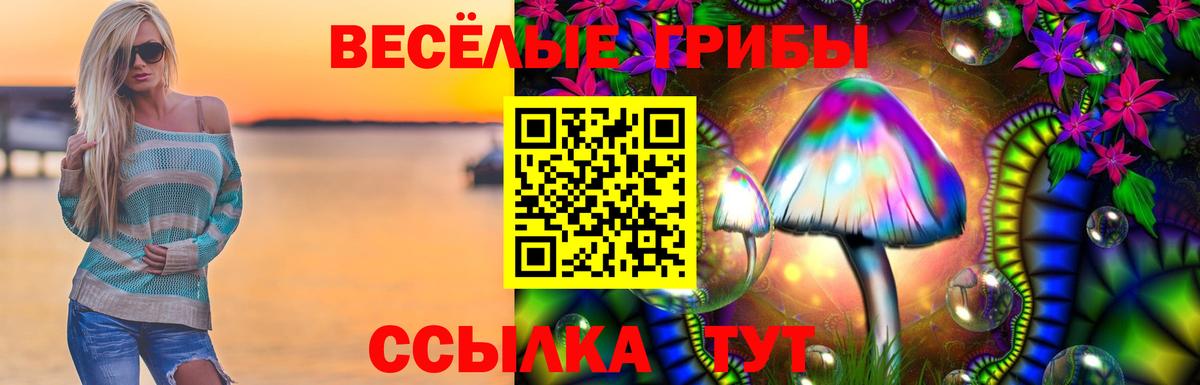 Псилоцибиновые грибы ЛСД Корсаков
